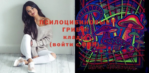 apvp Алексин