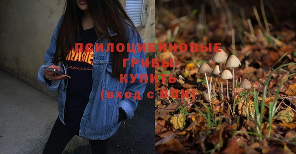 гидропоника Абдулино