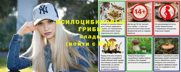 тгк Алзамай